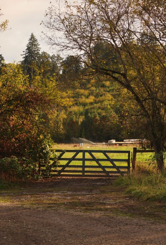 Best Metal Detectors For Christmas 2026: Tom’s Picks By Budget 13 Closed wooden farm gate on a rural fence line in autumn